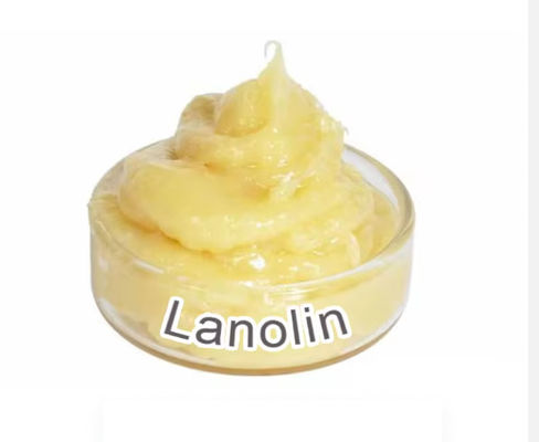 Φαρμακευτικό Gradel Lanolin Anhydrous BP Standard CAS NO 8006-54-0
