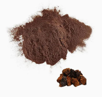 Φυσικό 10% ~ 50% Πολυσακχαρίδια Εκχύλισμα Chaga Εκχύλισμα σκόνης CAS 84650-60-9