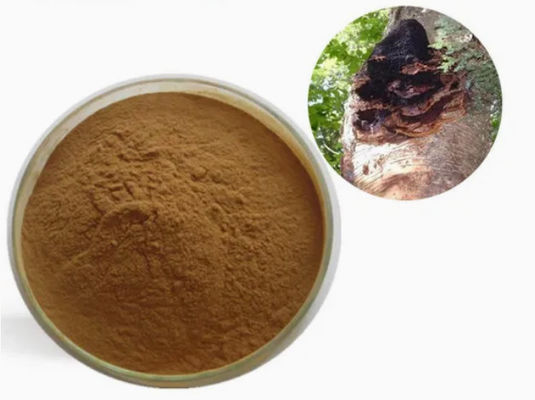 Φυσικό 10% ~ 50% Πολυσακχαρίδια Εκχύλισμα Chaga Εκχύλισμα σκόνης CAS 84650-60-9