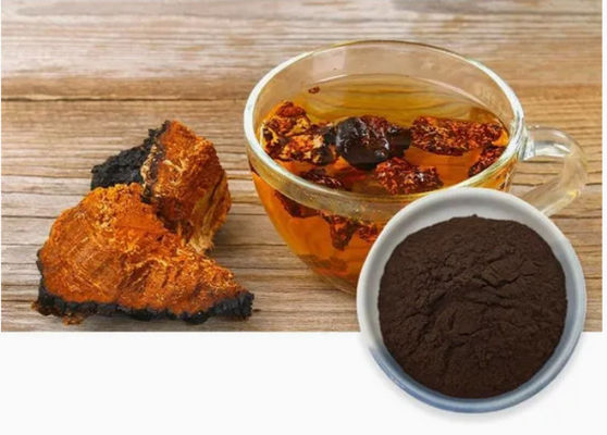 Φυσικό 10% ~ 50% Πολυσακχαρίδια Εκχύλισμα Chaga Εκχύλισμα σκόνης CAS 84650-60-9
