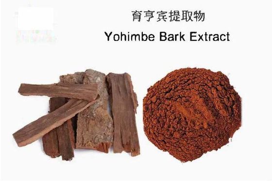 Φαρμακευτική τροφική ουσία Yohimbe Bark Powder Extract CAS NO 65-19-0 Υγεία