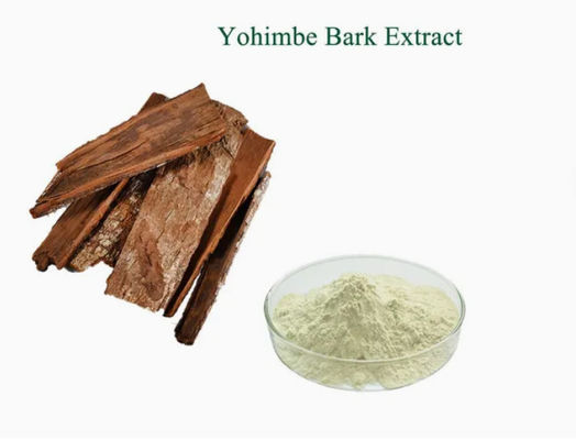 Φαρμακευτική τροφική ουσία Yohimbe Bark Powder Extract CAS NO 65-19-0 Υγεία