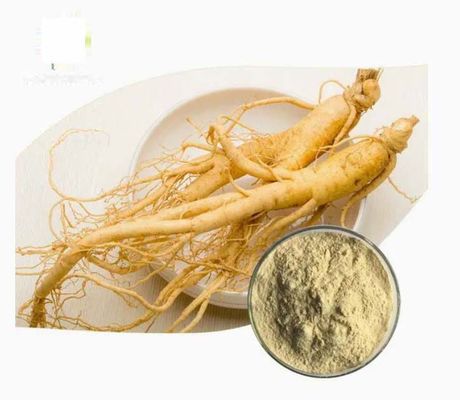 Φυσικό οργανικό εκχύλισμα ginseng υψηλής ποιότητας CAS NO 90045-38-8 Ginseng Monomer Saponins