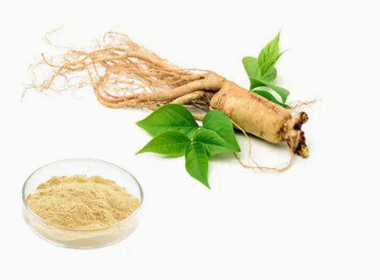 Φυσικό οργανικό εκχύλισμα ginseng υψηλής ποιότητας CAS NO 90045-38-8 Ginseng Monomer Saponins