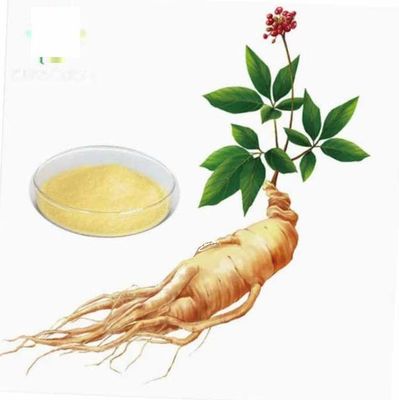 Φυσικό οργανικό εκχύλισμα ginseng υψηλής ποιότητας CAS NO 90045-38-8 Ginseng Monomer Saponins