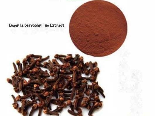 Εκχύλισμα Eugenia Caryophyllus CAS NO 84961-50-2 Προϊόντα διατροφικής υγείας