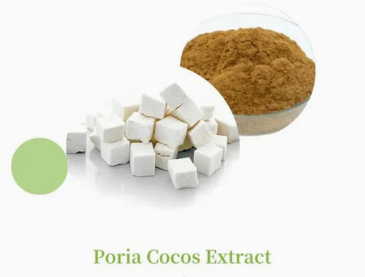 Εκχύλισμα φυτού Herbway σκόνη Poria Cocos Extract CAS NO 65637-98-1 50% πολυσακχαρίδιο