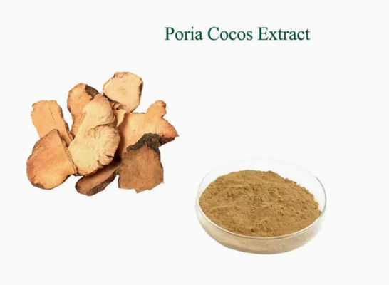 Εκχύλισμα φυτού Herbway σκόνη Poria Cocos Extract CAS NO 65637-98-1 50% πολυσακχαρίδιο