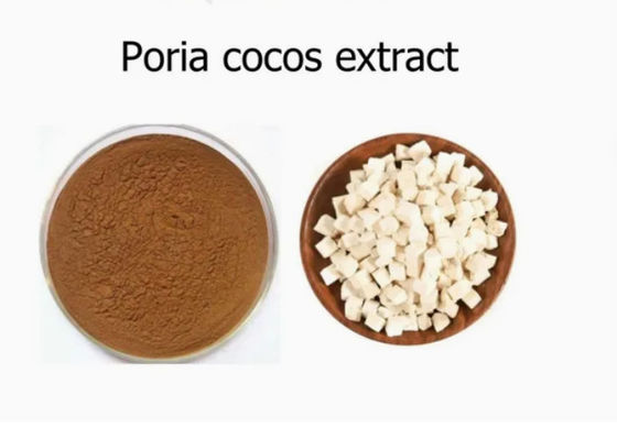 Εκχύλισμα φυτού Herbway σκόνη Poria Cocos Extract CAS NO 65637-98-1 50% πολυσακχαρίδιο