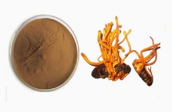 Οργανικό Σελένιο εμπλουτισμένο με Cordyceps Militaris Powder cAS NO 73-03-0 Φαρμακευτικό μανιτάρι