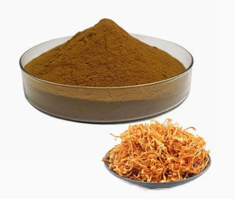 Οργανικό Σελένιο εμπλουτισμένο με Cordyceps Militaris Powder cAS NO 73-03-0 Φαρμακευτικό μανιτάρι
