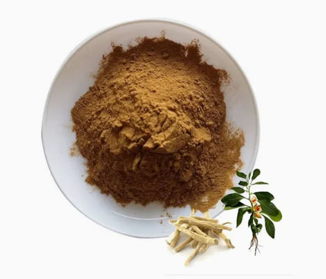 Φυτικό εκχύλισμα Ashwagandha Αγιουρβηδικά εκχύλισμα CAS NO 90147-43-6 5% Βιθανολίδη σε σκόνη