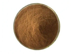 Βιολογικό 10:1 Εκχυλίσματα φρούτου Phyllanthi CAS NO 90028-28-7 Εκχύλισμα φρούτου Phyllanthi