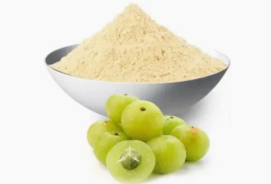 Βιολογικό 10:1 Εκχυλίσματα φρούτου Phyllanthi CAS NO 90028-28-7 Εκχύλισμα φρούτου Phyllanthi
