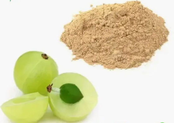 Βιολογικό 10:1 Εκχυλίσματα φρούτου Phyllanthi CAS NO 90028-28-7 Εκχύλισμα φρούτου Phyllanthi
