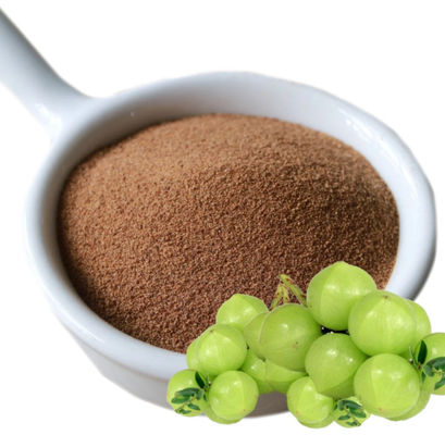 Βιολογικό 10:1 Εκχυλίσματα φρούτου Phyllanthi CAS NO 90028-28-7 Εκχύλισμα φρούτου Phyllanthi