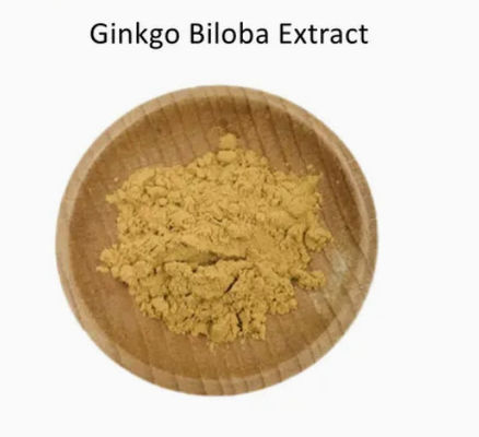 Φαρμακευτική Υγεία Εκχύλισμα Ginkgo Biloba CAS NO 84696-15-1 Καθαρή φυσική σκόνη