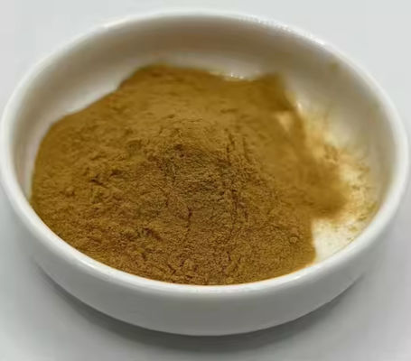 Φαρμακευτική Υγεία Εκχύλισμα Ginkgo Biloba CAS NO 84696-15-1 Καθαρή φυσική σκόνη