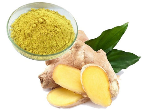 Φαρμακευτική Υγεία Εκχύλισμα Ginkgo Biloba CAS NO 84696-15-1 Καθαρή φυσική σκόνη