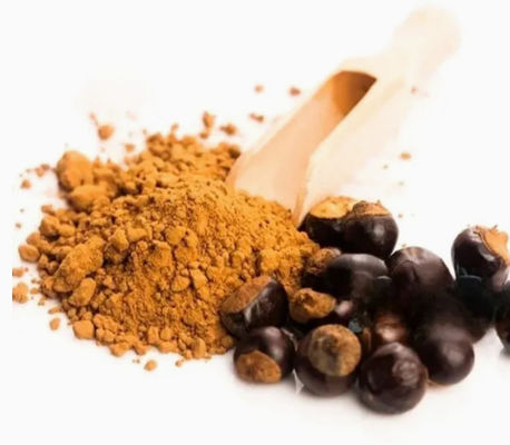Συμπλήρωμα υγείας Εκχύλισμα Paullinia Cupana Cas αριθ. 84929-28-2 Εκχύλισμα σπόρων γκουαράνα