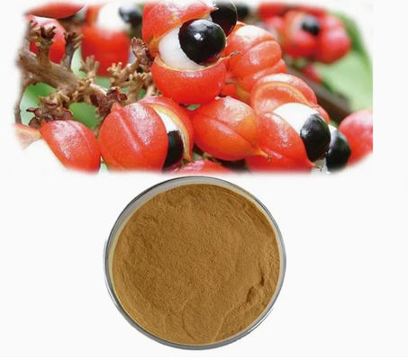 Συμπλήρωμα υγείας Εκχύλισμα Paullinia Cupana Cas αριθ. 84929-28-2 Εκχυλίσματα σπόρων γκουαράνα