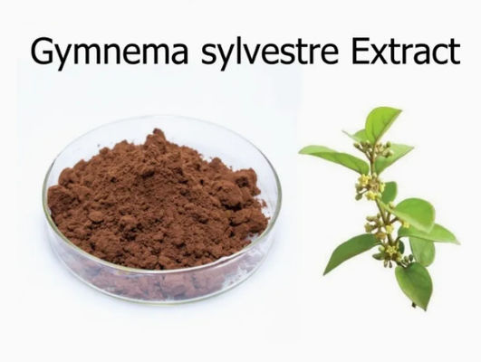 Εκχύλισμα φυτού Gymnema Sylvestre Extract CAS NO 90045-47-9 Εκχύλισμα ρίζας ή βοτάνων σε σκόνη