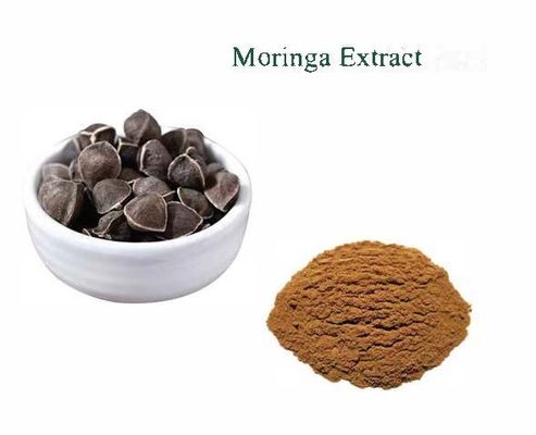 Φυσικό φυτικό εκχύλισμα Moringa 10/1 CAS NO 93165-54-9 Moringa Oleifera Powder