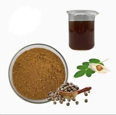 Φυσικό φυτικό εκχύλισμα Moringa 10/1 CAS NO 93165-54-9 Moringa Oleifera Powder