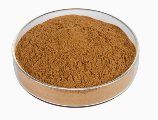 Φυσικό φυτικό εκχύλισμα Moringa 10/1 CAS NO 93165-54-9 Moringa Oleifera Powder